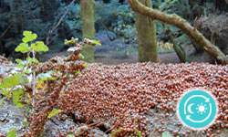 Ladybug Hotel 24-Hour Park Access